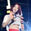 다 솜 이미지