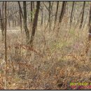 장암진료소 이미지