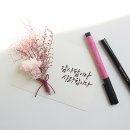 익스홀릭 가넷 이미지