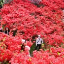 완산도서관 화장실 이미지