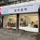 프리미엄 펫베이커리&펫푸드카페 멈머맘마 | 건대애견카페 강아지삼계탕 원데이클래스 '멈머맘마'