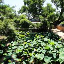 서석지마을 이미지