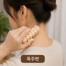 편백나무 | 편백나무 손 지압기 사용 후기