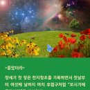 좋았더라 - 충주시 앙암로 756-1 | 좋았더라