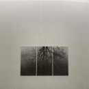 리파크 이미지