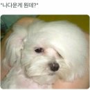 하나살롱 이미지