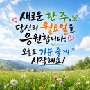 8월 3일(월) 여름 휴가철, 북적임 대신 ‘쉼’…조용한 여행지가 뜬다 이미지