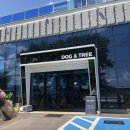 독앤트리 이미지