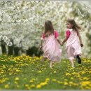 고요한꽃뜰 이미지