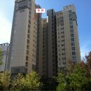 분당-226 이미지