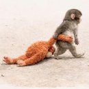 아리따움 앞 | 학생복지스토어 아이폰17 구매 후기 | 쉬인 아이폰 케이스 추천 | 공차 자스민 코코 말차 신메뉴 후기...