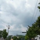 주정차단속-15 이미지