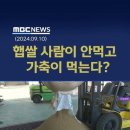 정부의 쌀값 안정화 대책 이미지