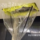 이레청소서비스