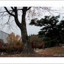 시청앞 공원 이미지