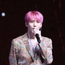 레오 이미지