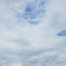 산새들공원 | 비기너가 간다면~~놉!!! 험한 산새를 온몸으로 느낄수있는 오너스cc 힐 → 레이크코스 금융치료 라운딩...