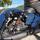 렉스인터내셔널(주) 이미지