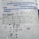 연쇄반응 전파분기반응 쉽게 설명 가능하신 이미지