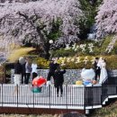 월포초등학교 이미지