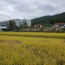 2024.10.20.일.고헌산 주말등산후기