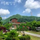 어비숲민박 | 가평캠핑장 소풍캠핑장 분위기