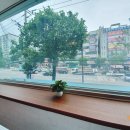 산아래토마토 이미지