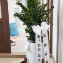 부천 맥스웰의원 이미지