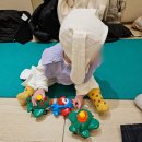 학기농장 | 트레이더스 수원 문센 [날아라 병아리(6~10개월)] 겨울학기 수강후기ㅣ돌 전 아기 오감놀이 문센 추천