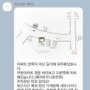 어프리콧케이크 이미지