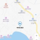 비타민C펜션