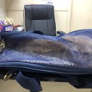 24시OK동물병원 이미지