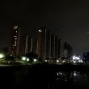 내린천아름펜션 | 주간 일상(휴가 일기)