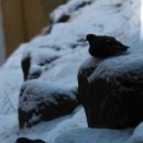 용답역(2) 이미지