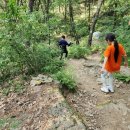 일장천약수터 이미지