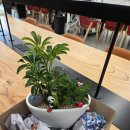 양산시친환경에너지타운 | 복지 허브 타운 직업 체험 양산시 가족 센터 원예 프로그램