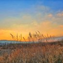 소리의섬 이미지