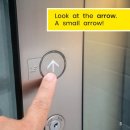 지향초교 이미지