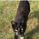 산아래 쉬는집 이미지