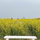 호미곶경관영농조합법인 이미지