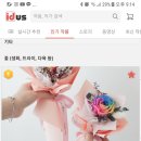 모나플로스 이미지