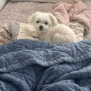 테리스짐 | 3월일기