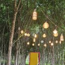 태신목장 이미지