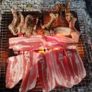 강화캐라반캠핑장 | 강화) 강화도 &#34;낙조힐링 카라반&amp;캠핑장&#34; 내돈내산 후기