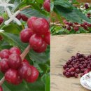 영산농장 이미지