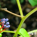 프로컴