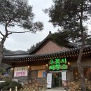 우둠지제빵소 | 포천 우둠지제빵소 후기｜분위기부터 빵 맛까지 솔직 리뷰 (ft.알파카)
