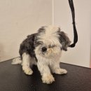 새론공인중개사사무소 이미지