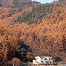 화지5리 이미지