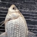 25년 겨울이 오면 이미지